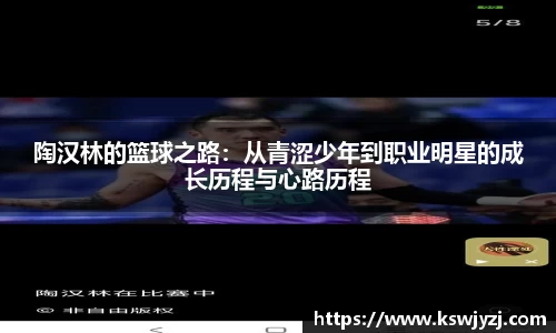 陶汉林的篮球之路：从青涩少年到职业明星的成长历程与心路历程